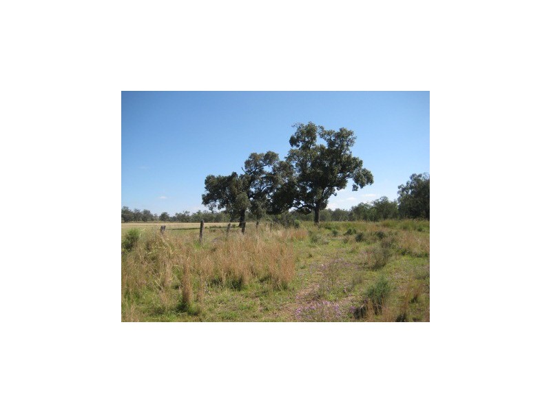 ” Nullabowry”, Millmerran QLD 4357