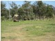 ” Nullabowry”, Millmerran QLD 4357
