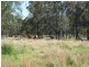 ” Nullabowry”, Millmerran QLD 4357