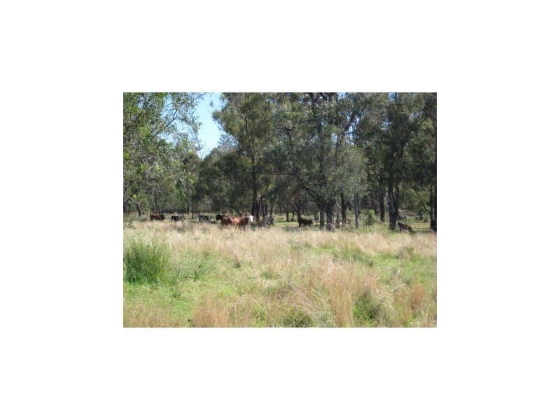 ” Nullabowry”, Millmerran QLD 4357