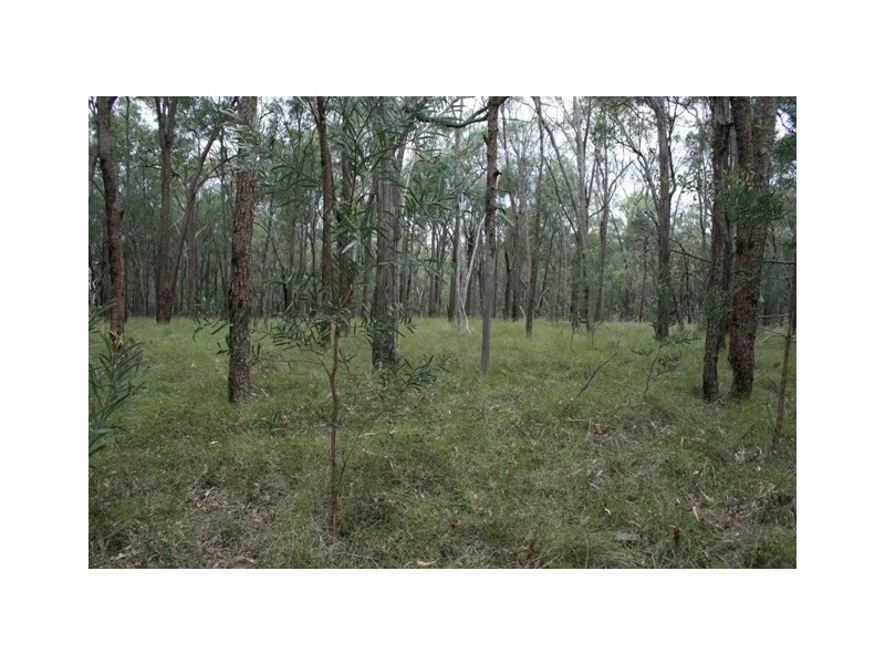 LOT 81 DALWOGAN ROAD, Miles QLD 4415