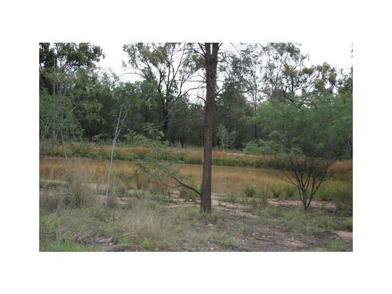 LOT 81 DALWOGAN ROAD, Miles QLD 4415