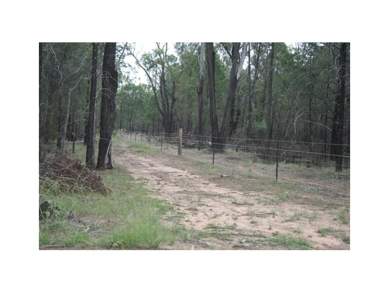LOT 81 DALWOGAN ROAD, Miles QLD 4415