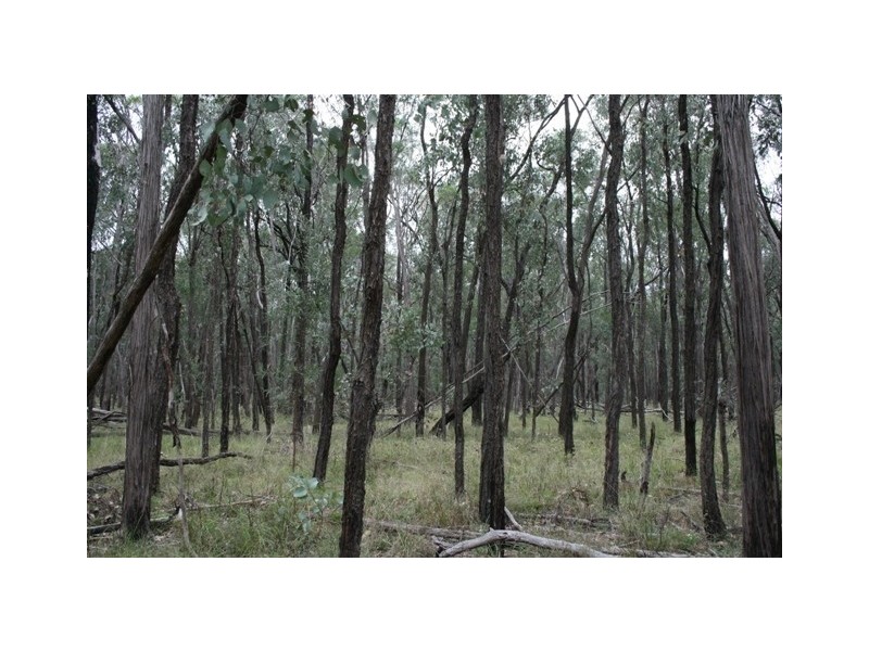 LOT 81 DALWOGAN ROAD, Miles QLD 4415