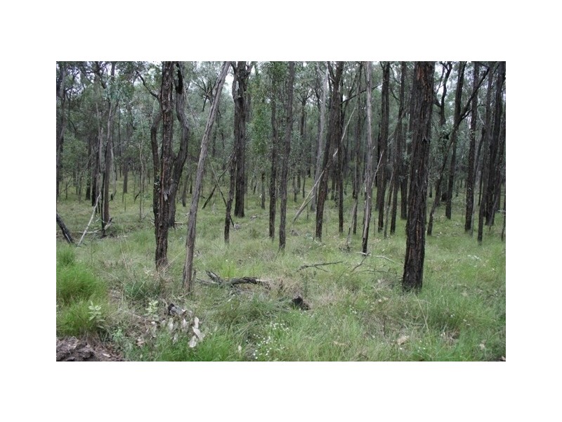 LOT 81 DALWOGAN ROAD, Miles QLD 4415