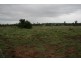 LOT 1 NORTH ROAD, Dulacca QLD 4425