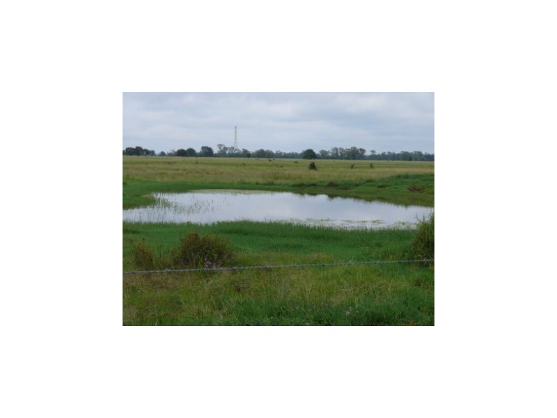 ” Wares West”, Wallumbilla QLD 4428