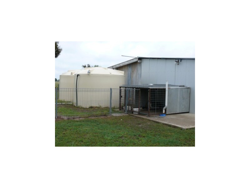 ” Wares West”, Wallumbilla QLD 4428