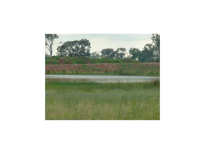 ” Wares West”, Wallumbilla QLD 4428