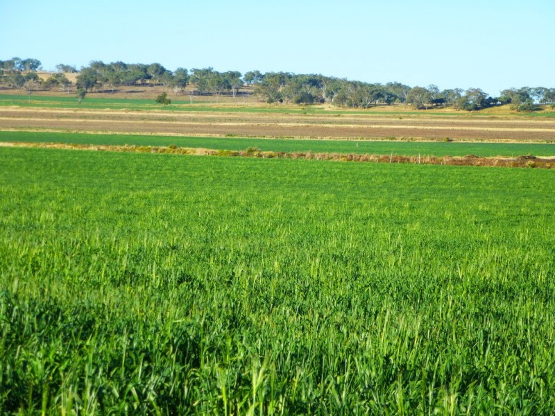 Kaimkillenbun QLD 4406