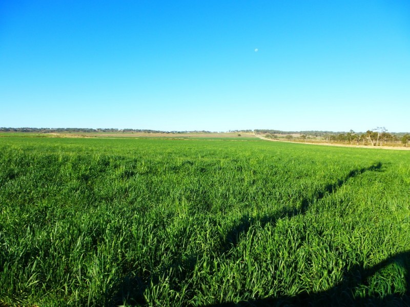 Kaimkillenbun QLD 4406