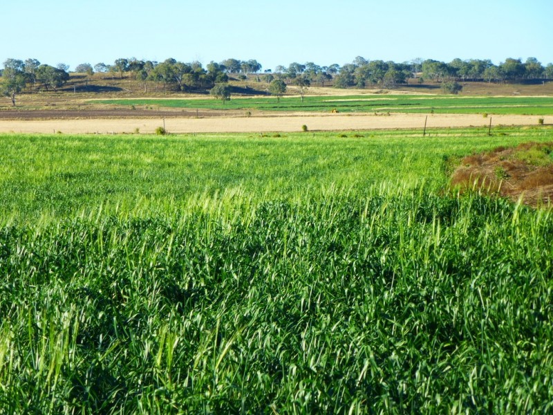 Kaimkillenbun QLD 4406