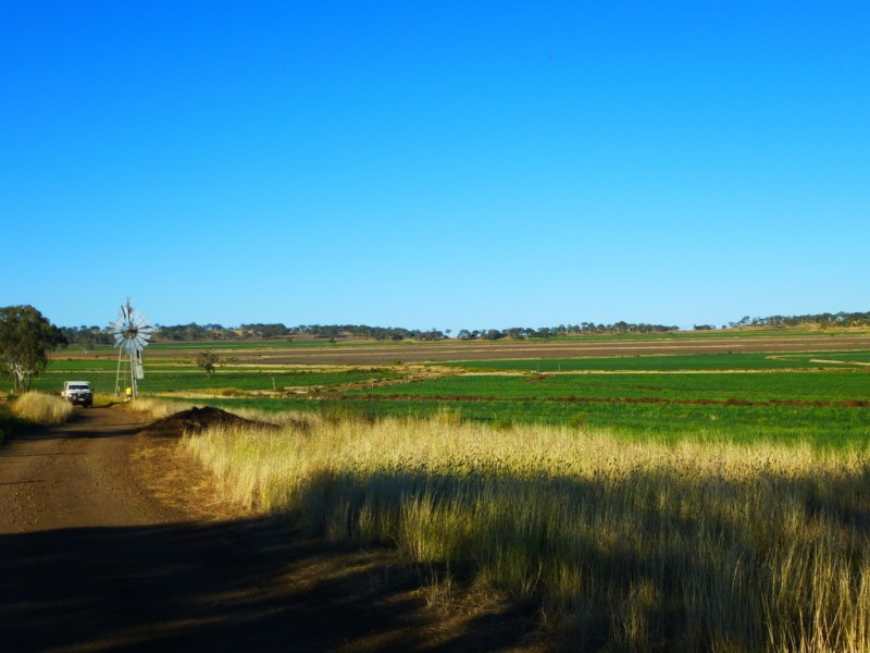 Kaimkillenbun QLD 4406