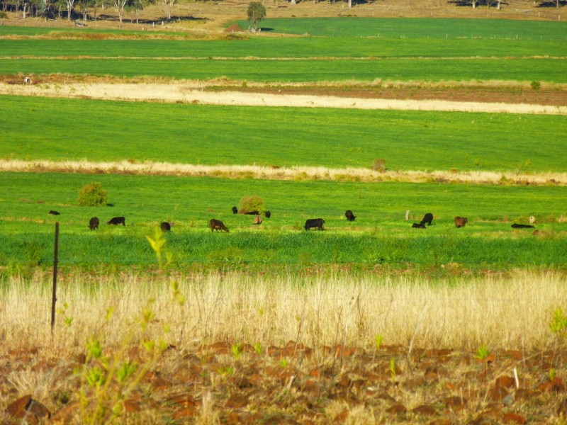 Kaimkillenbun QLD 4406