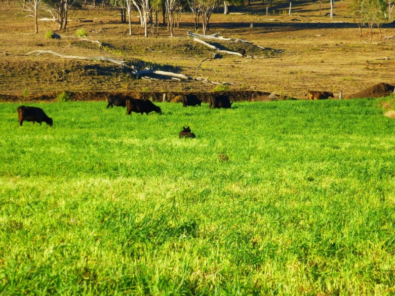 Kaimkillenbun QLD 4406