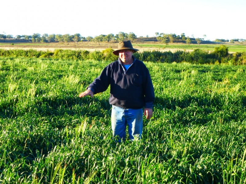 Kaimkillenbun QLD 4406