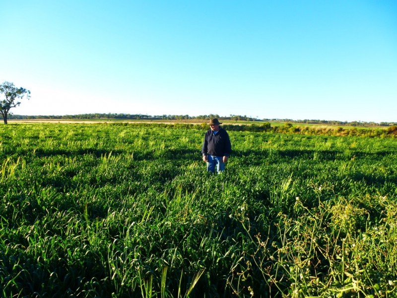 Kaimkillenbun QLD 4406