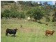 Dalby QLD 4405