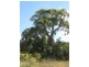 Dalby QLD 4405