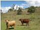 Dalby QLD 4405