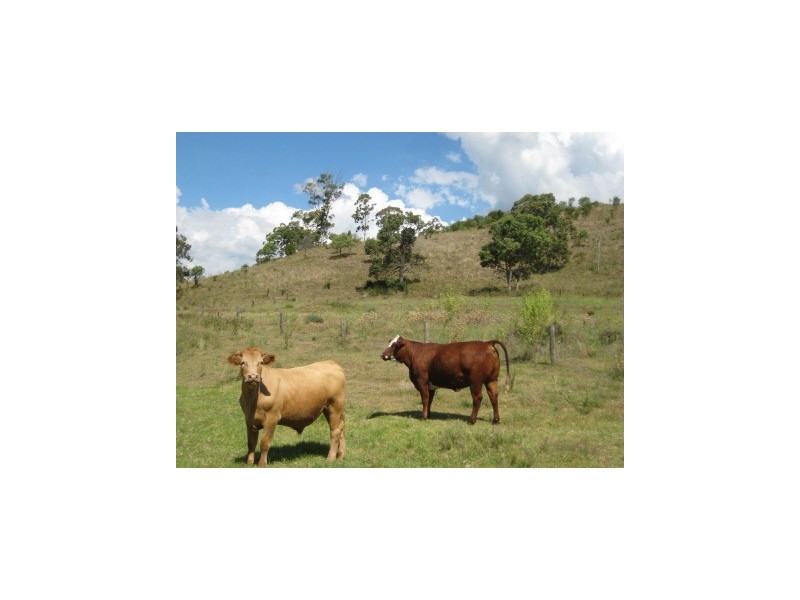 Dalby QLD 4405