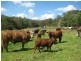 Dalby QLD 4405