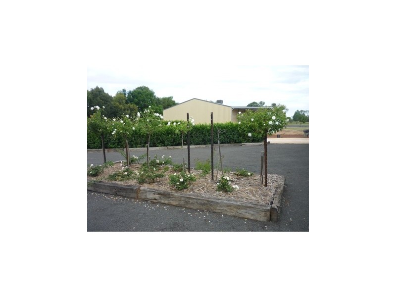 45 Herbert Street, St George QLD 4487