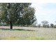 Condamine QLD 4416