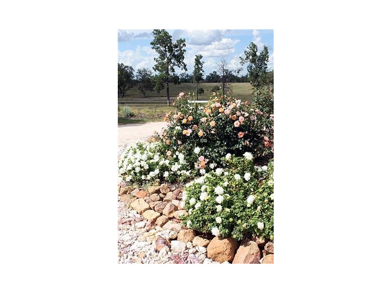 538 SIX MILE, Roma QLD 4455