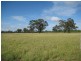 “. Iona Plains “, Tara QLD 4421