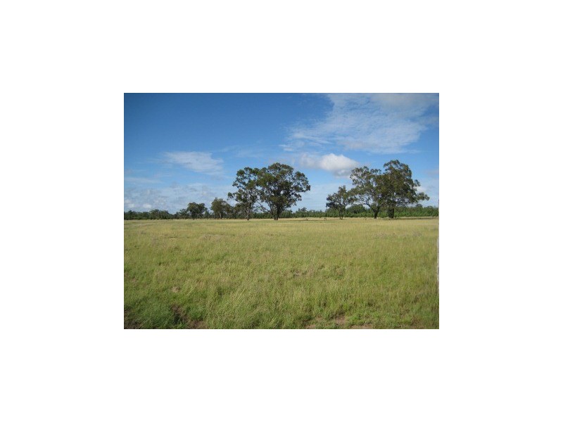 “. Iona Plains “, Tara QLD 4421