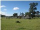 “. Iona Plains “, Tara QLD 4421