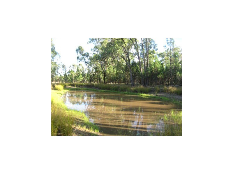 “. Iona Plains “, Tara QLD 4421