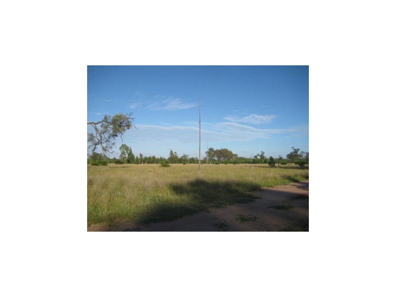 “. Iona Plains “, Tara QLD 4421