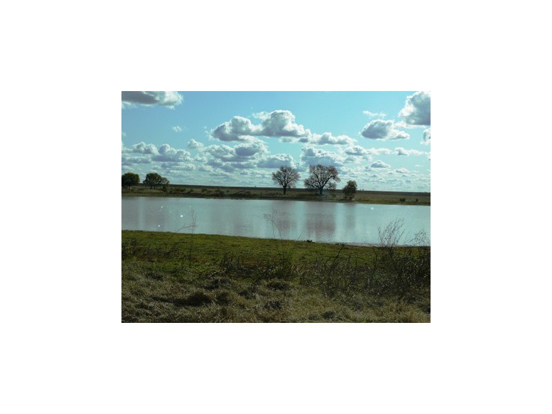 Surat QLD 4417