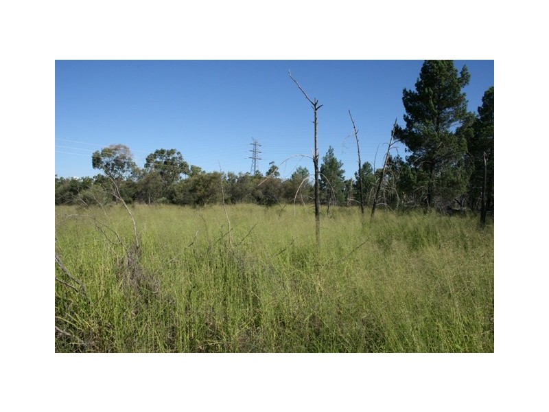 Miles QLD 4415