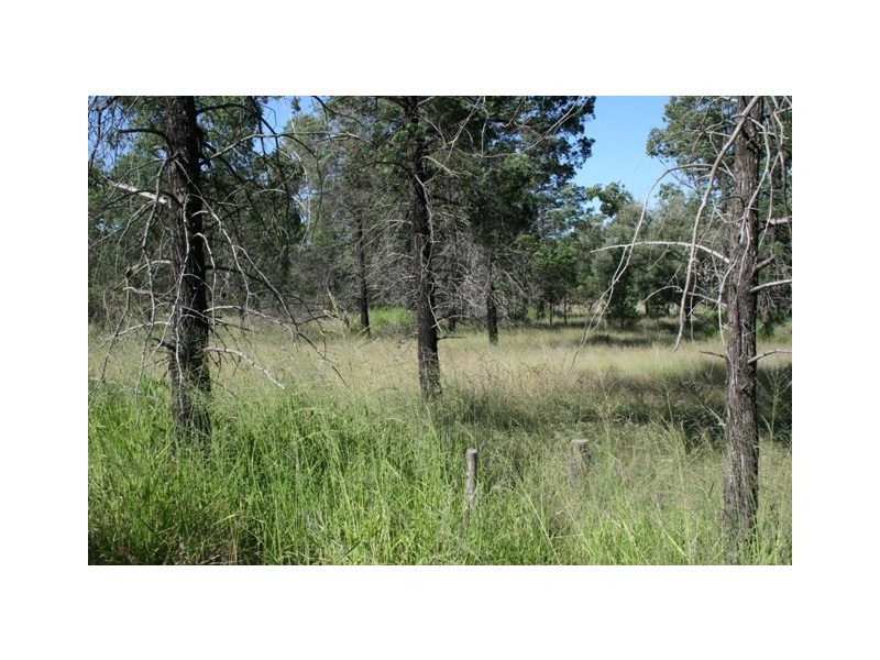 Miles QLD 4415