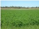 Mundubbera QLD 4626