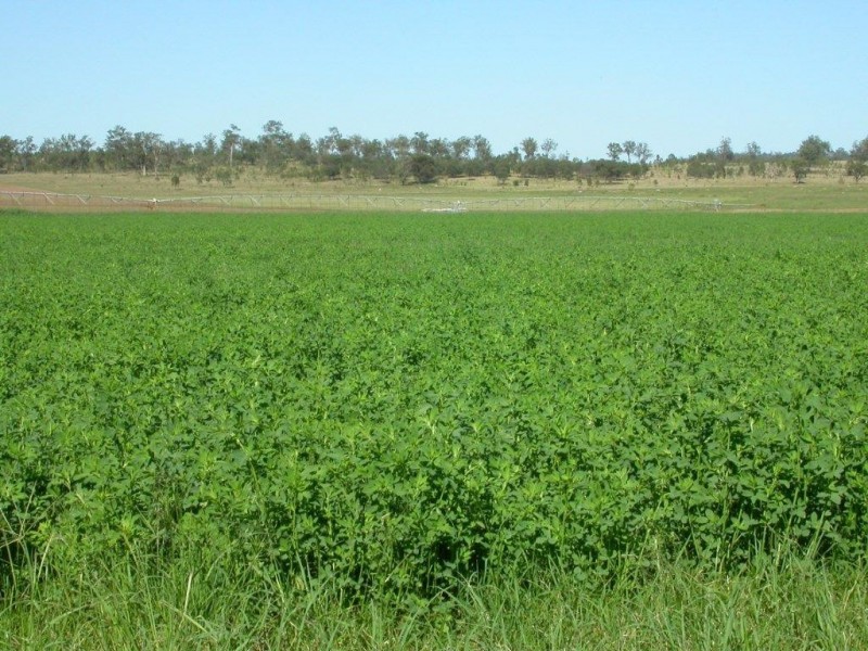 Mundubbera QLD 4626