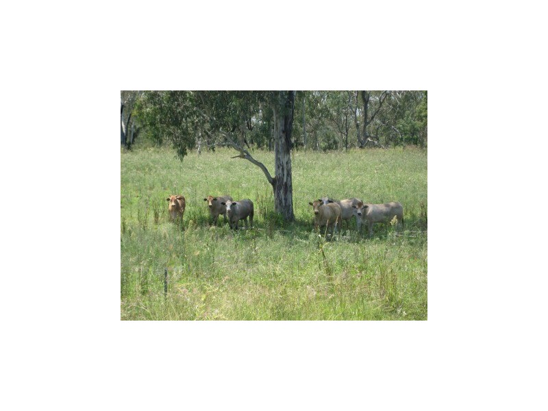 Mundubbera QLD 4626