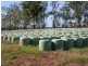 Mundubbera QLD 4626
