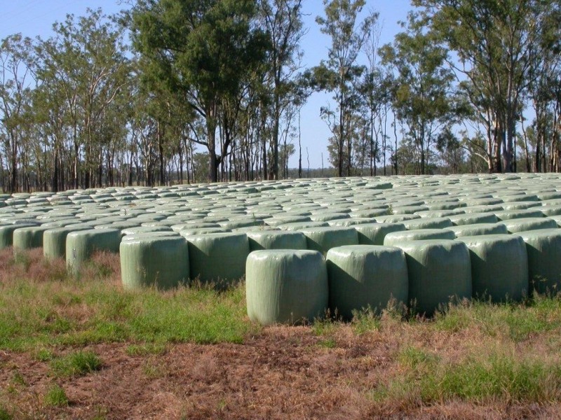 Mundubbera QLD 4626
