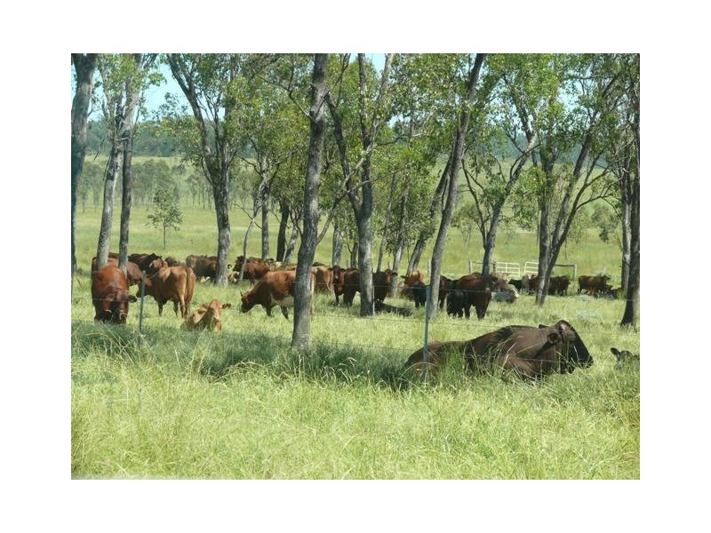 ” Sardine Creek “, Injune QLD 4454