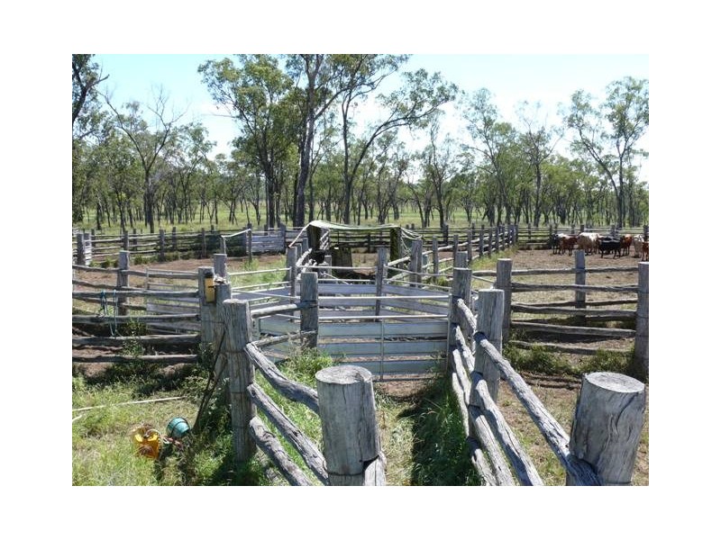 ” Sardine Creek “, Injune QLD 4454