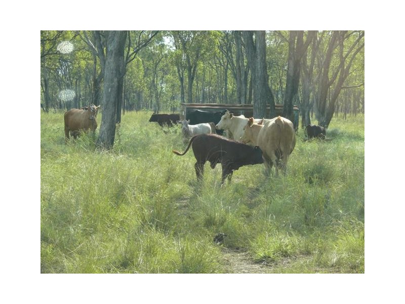 ” Sardine Creek “, Injune QLD 4454