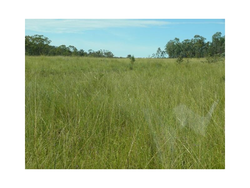 ” Sardine Creek “, Injune QLD 4454