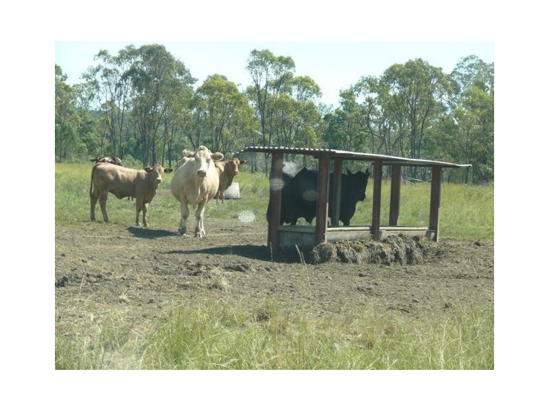 ” Sardine Creek “, Injune QLD 4454