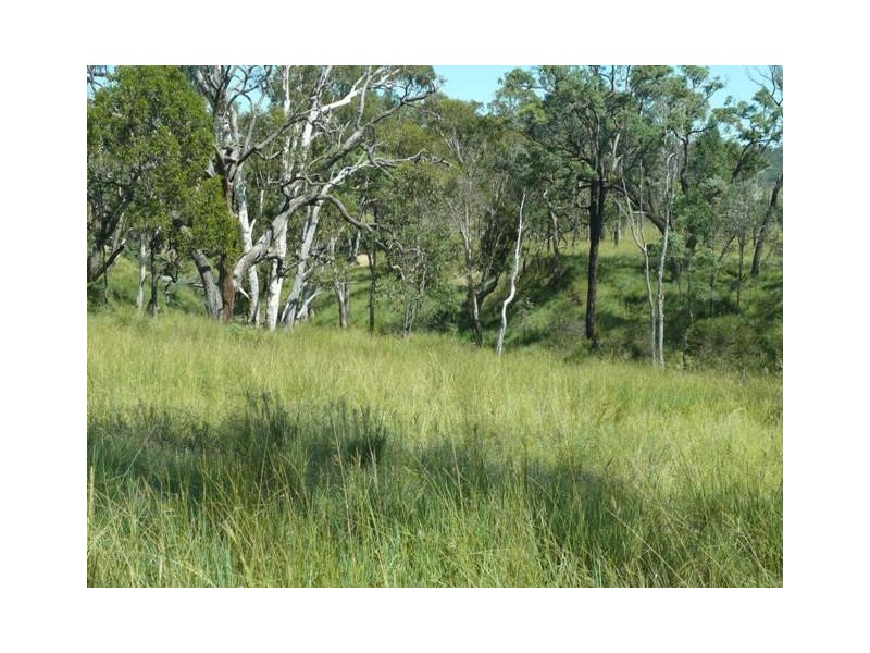 ” Sardine Creek “, Injune QLD 4454