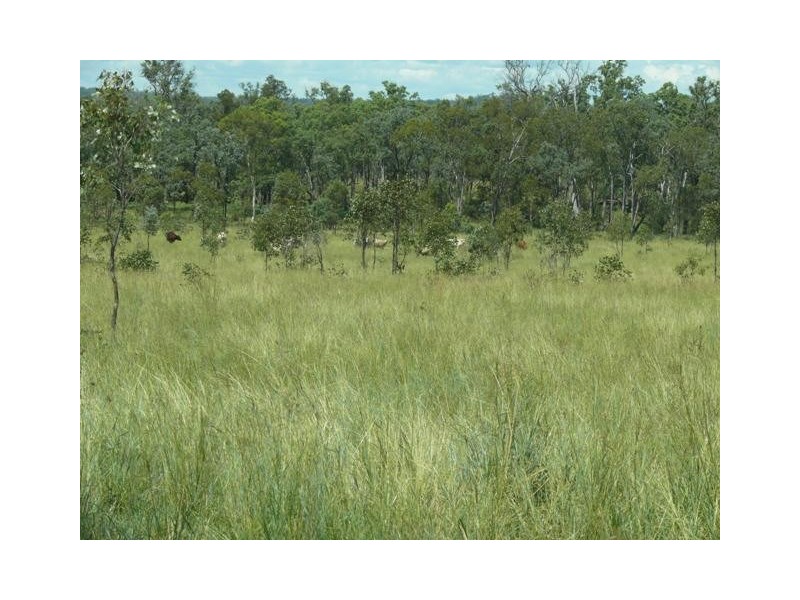 ” Sardine Creek “, Injune QLD 4454