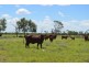 Longreach QLD 4730